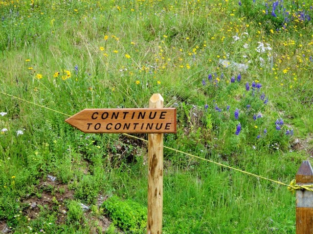 Where handy advice in English abounds...