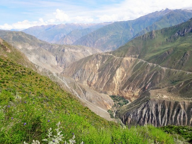 Colca Canyon, with our final destination, Oasis Sangalle visible down below