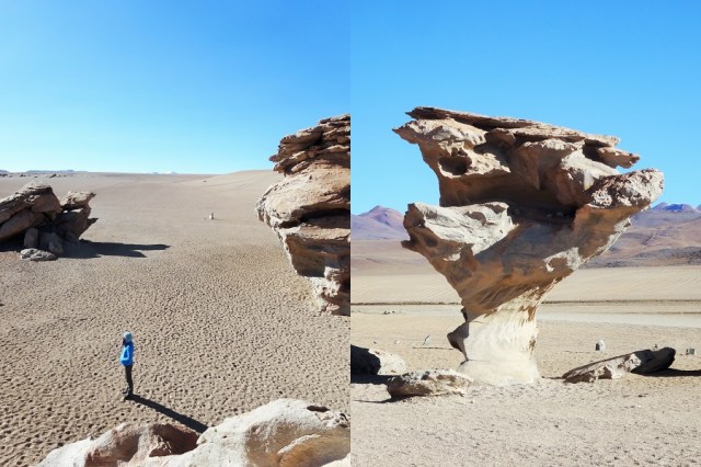 Taking the opportunity to climb around like a kid (left) & The anti-climactic stone tree (right)