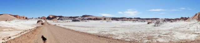 Cruising this other-worldly landscape