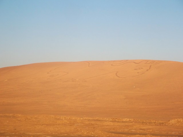 A probably not so ancient petroglyph viewed from the bus