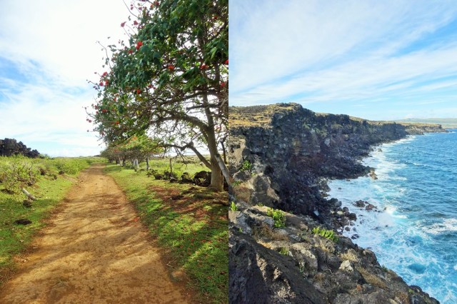 Enjoying a little sun (left) & The rugged, volcanic coastline (right)