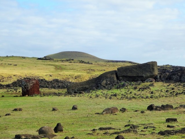 Te Pito Kura. At 10 metres high (and 80 tons), the largest Moai ever erected (and therefore, ever to fall)