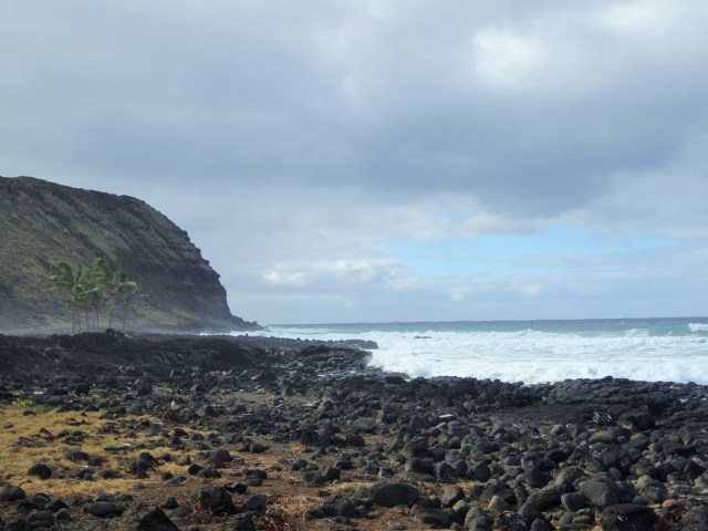 Witnessing the power of nature. Strong winds and pounding surf!