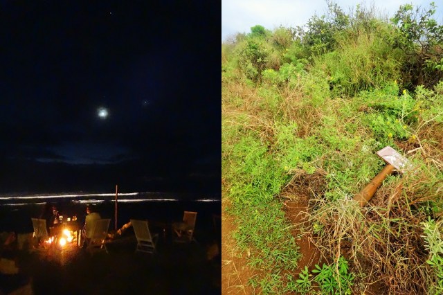 Dinner by the Pacific (left) & A fair case of misdirection... (right)