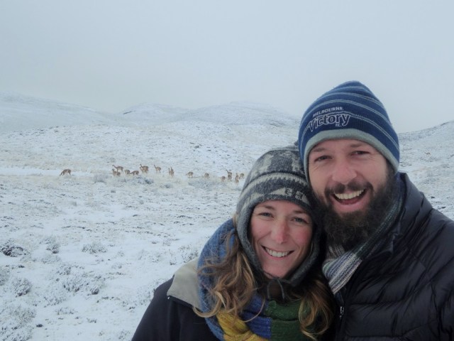 Posing before a herd of Guanaco in Torres del Paine (also the 1st time I'd touched snow in 25 years)