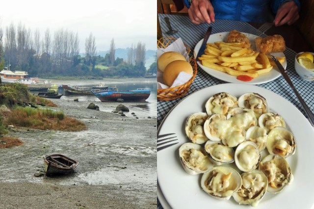 The beautiful winter shore (left) & Indulging in more seafood, Clams in cheese sauce and amazingly fresh fish (right)