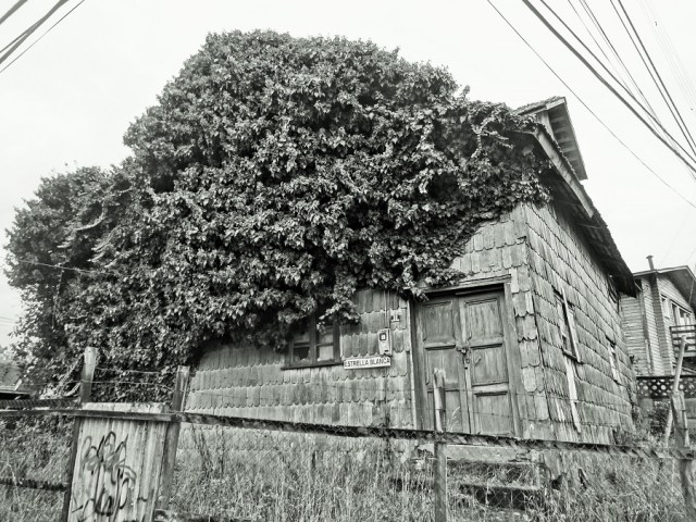 I loved this wooden shingled hovel in Puerto Montt