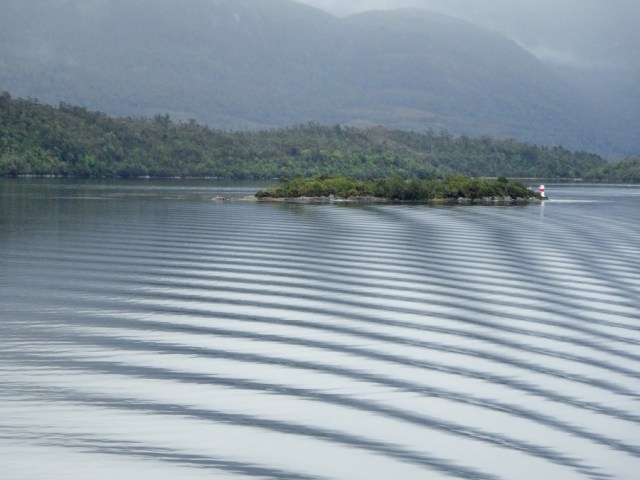 Beauty in our wake...
