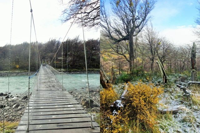 Slipping and sliding our way across frigid waters (left) & The beautiful woods through which we walked (right)