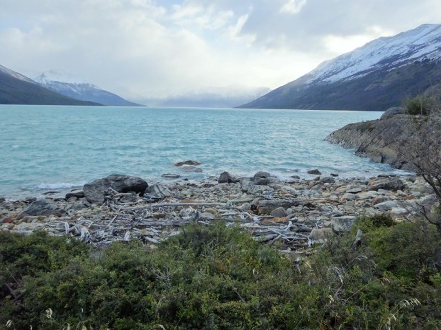 The frigid shores and skeletal driftwood