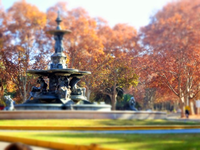 The fiery colours of autumn… in winter
