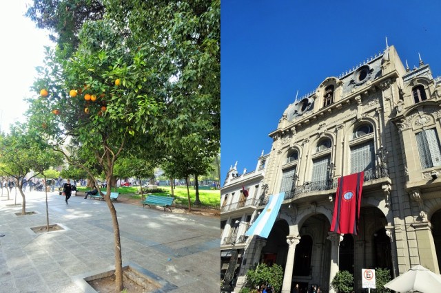 Plaza 9 de Julio. Orange trees and colonial charm