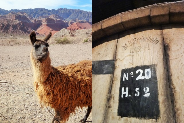 Farewell to the dry valley (left) & Hello to a dry red (right)