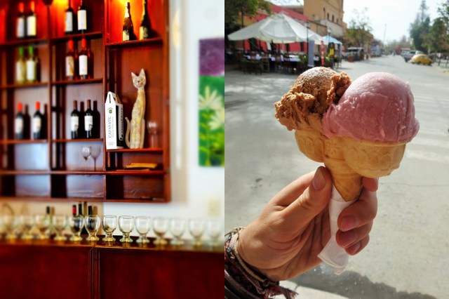 Sampling a local Malbec wine (left) & Italian Chocolate and Malbec flavoured ice-cream! (right)