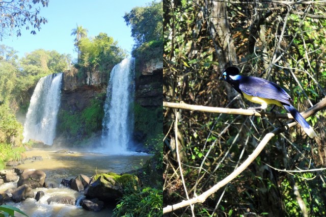 Passing the Salto Dos Hermanas (left) & Incredible colour on this ? (right)