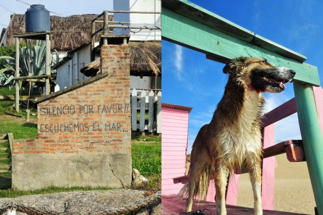 “Quiet please!! I’m listening to the sea…” (left) & Content after an ocean dip (right)