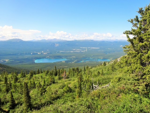 Stunning views in the Yukon summer