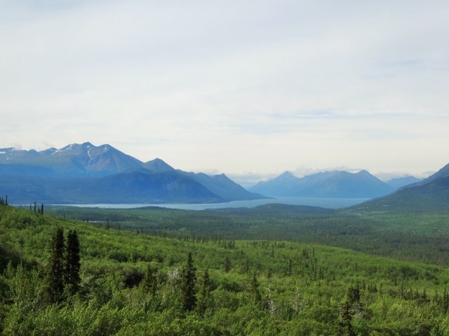 Looking back towards Bennett Lake