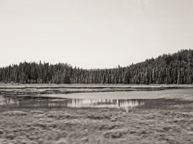 Repetition. Lakes and trees...