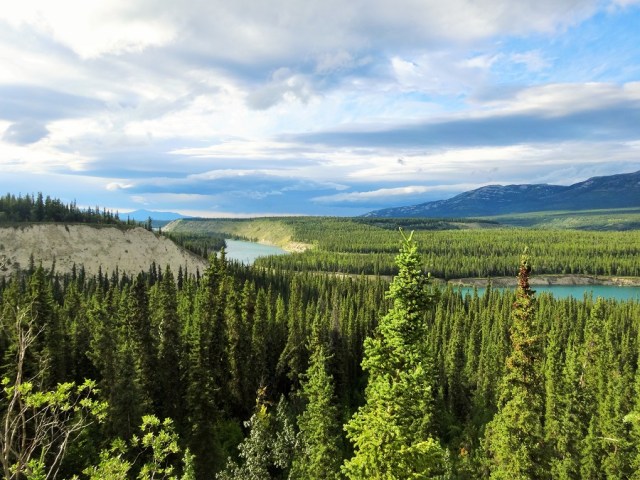 Stunning afternoon views towards the Yukon River