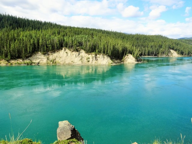 Pausing by this beautiful scene to observe a Yukon Bald Eagle