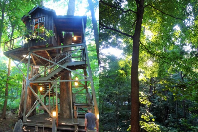 A treehouse in the woods