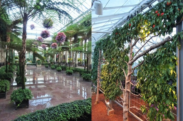 Wet floors and Nectarines in Winter