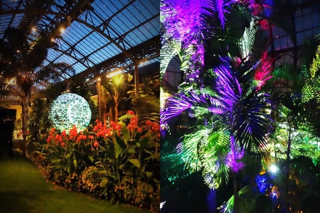 Getting to grips with some of Nightscape in the Conservatory