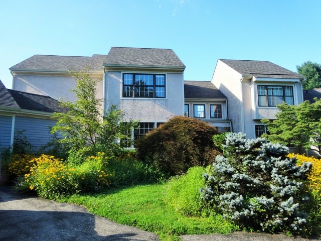 Our huge pad in Kennett Square