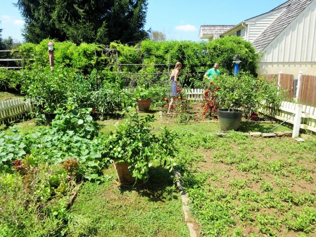 …and the deliciously fresh vegetable garden
