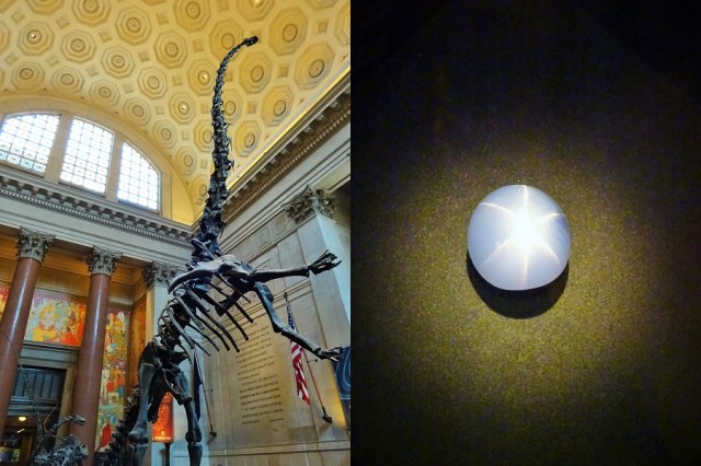 Getting pre-historic (left) & The Star of India (right)