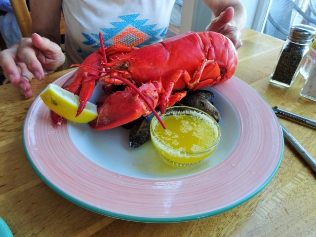 Getting her Maine Lobster... at last!