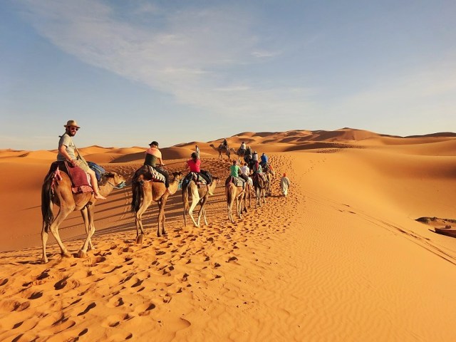 By camel into the Sahara...