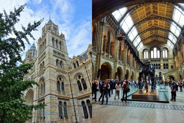 The Natural History Museum (left) & Making our acquaintance of the resident Diplodocus (right)