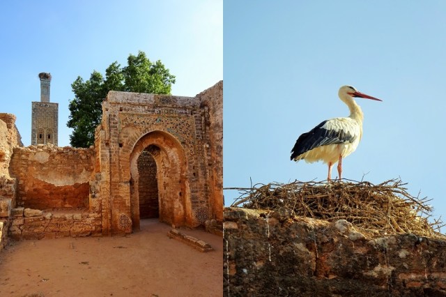 Exploring the ruins of Chellah (left) & On high alert for a baby delivery (right)