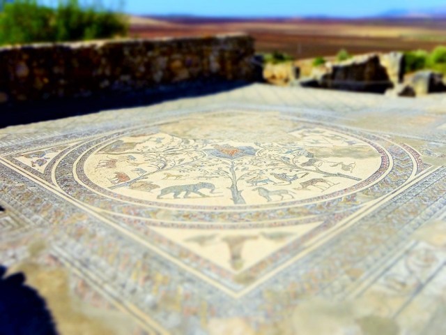 Mosaic: One of the big attractions of Volubilis