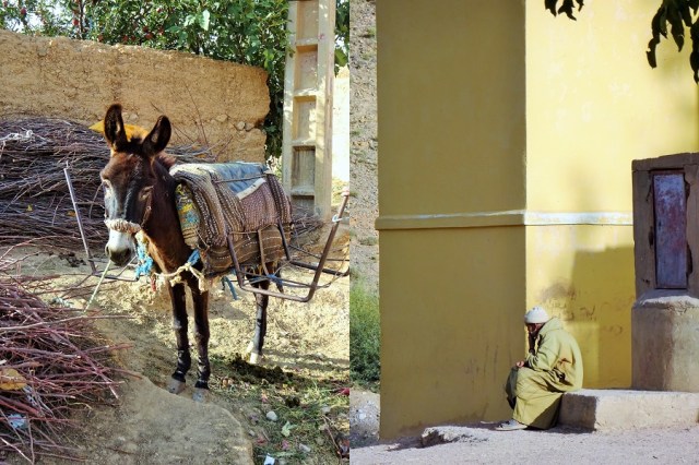 One of the many donkeys we’d meet (left) & Berber camo? (right)