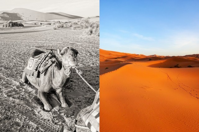 Colin, who barely broke a sweat hauling my arse around (left) & The desert sands under the late afternoon sun (right)