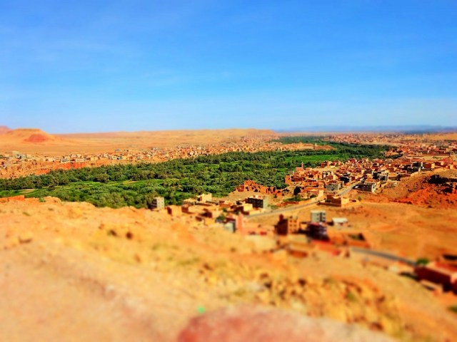 A true Moroccan oasis