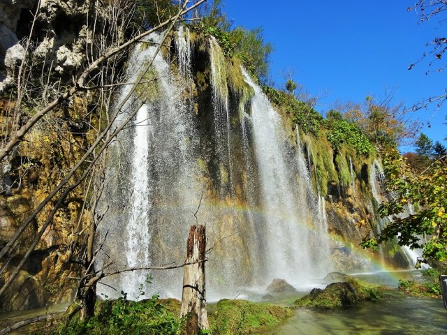 DSC01627