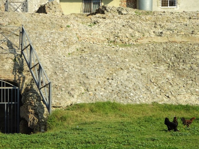 DSC03359