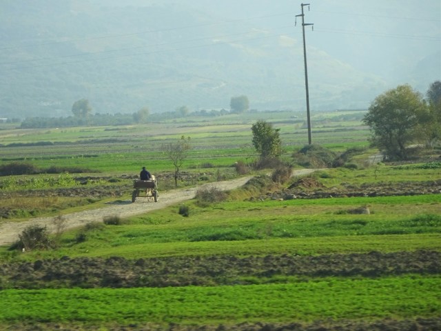 DSC03450