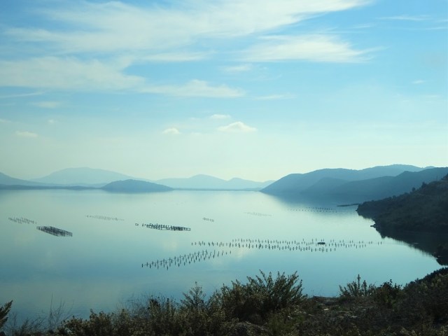 dsc03570