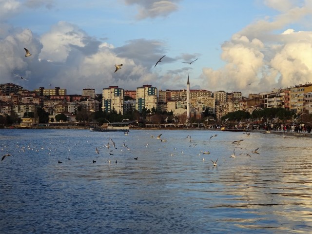 dsc04402