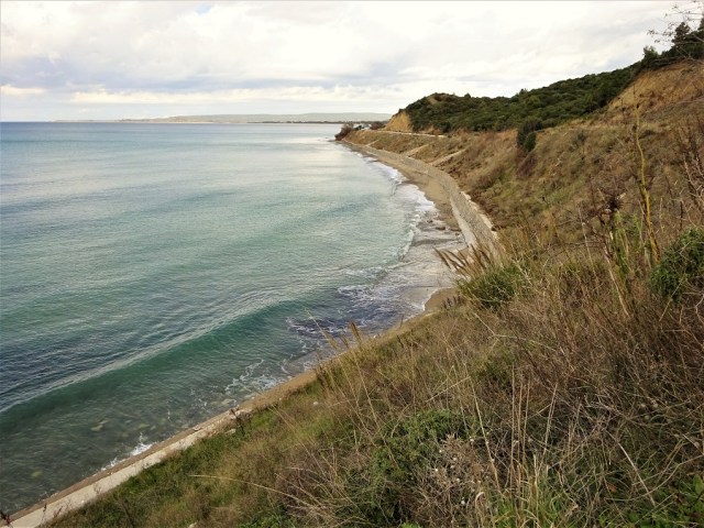 dsc04450