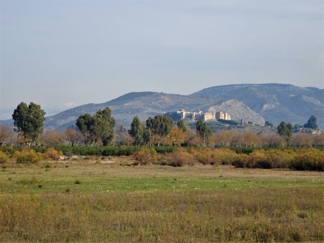 dsc05276