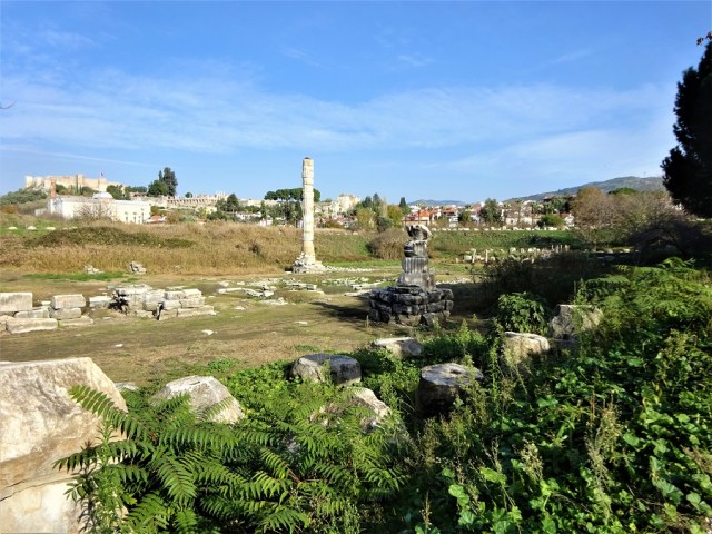 dsc05297