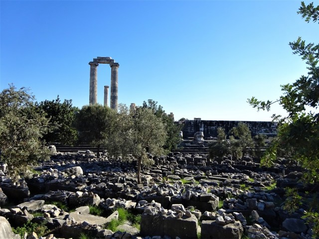 dsc05533