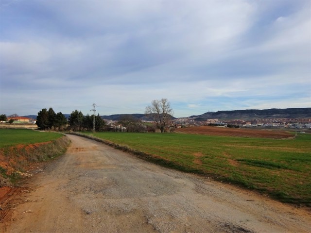 DSC00473